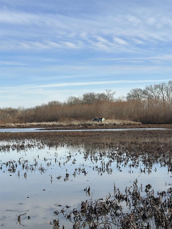 Picture 30