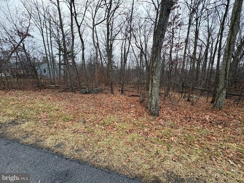 Land in Shawneeland, Winchester, VA