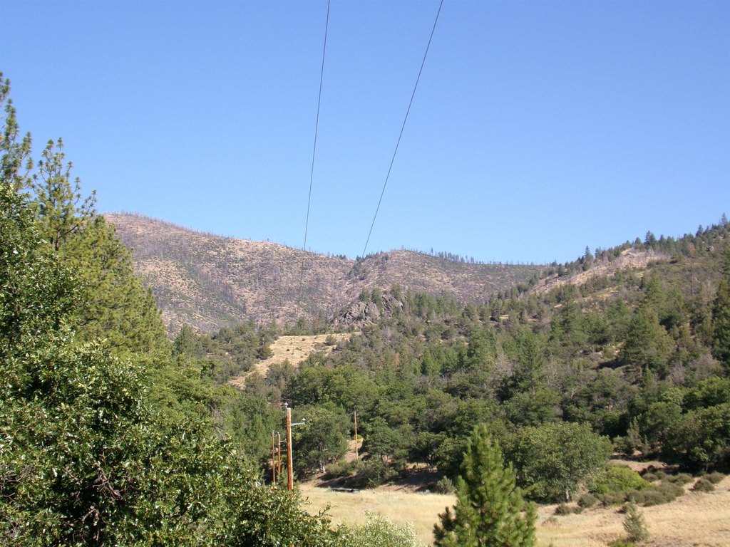 Picture 10