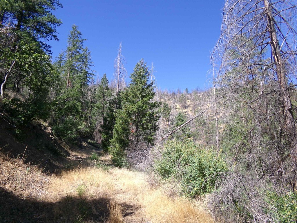 Picture 16