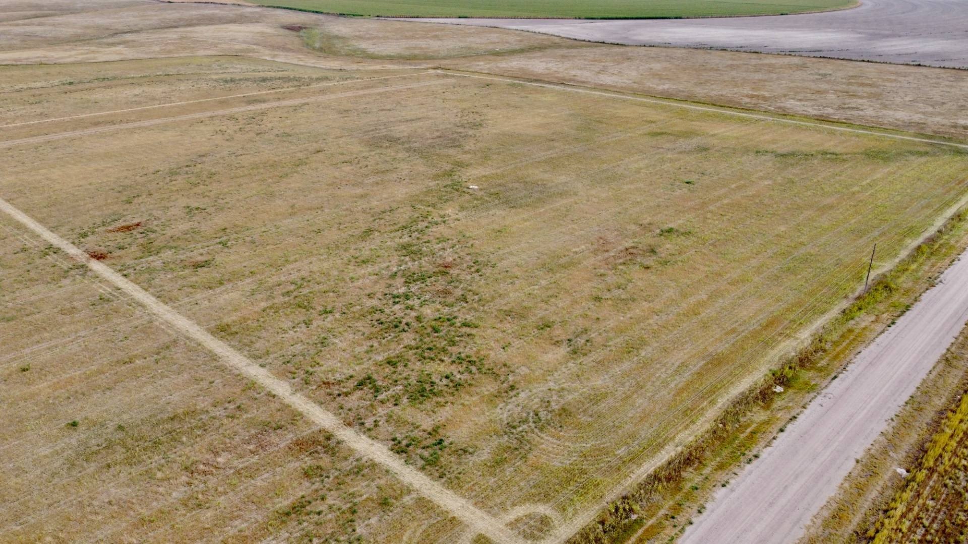 Vacant Land Near Goodland, Kansas