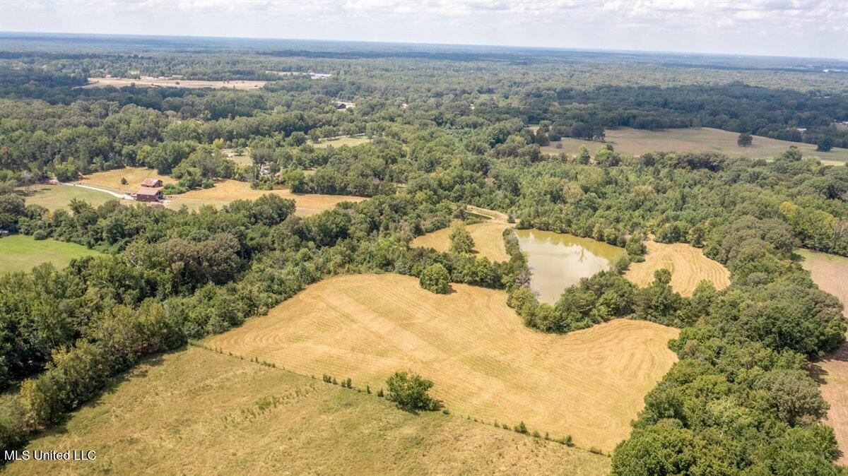 Red Banks Land with Pastures