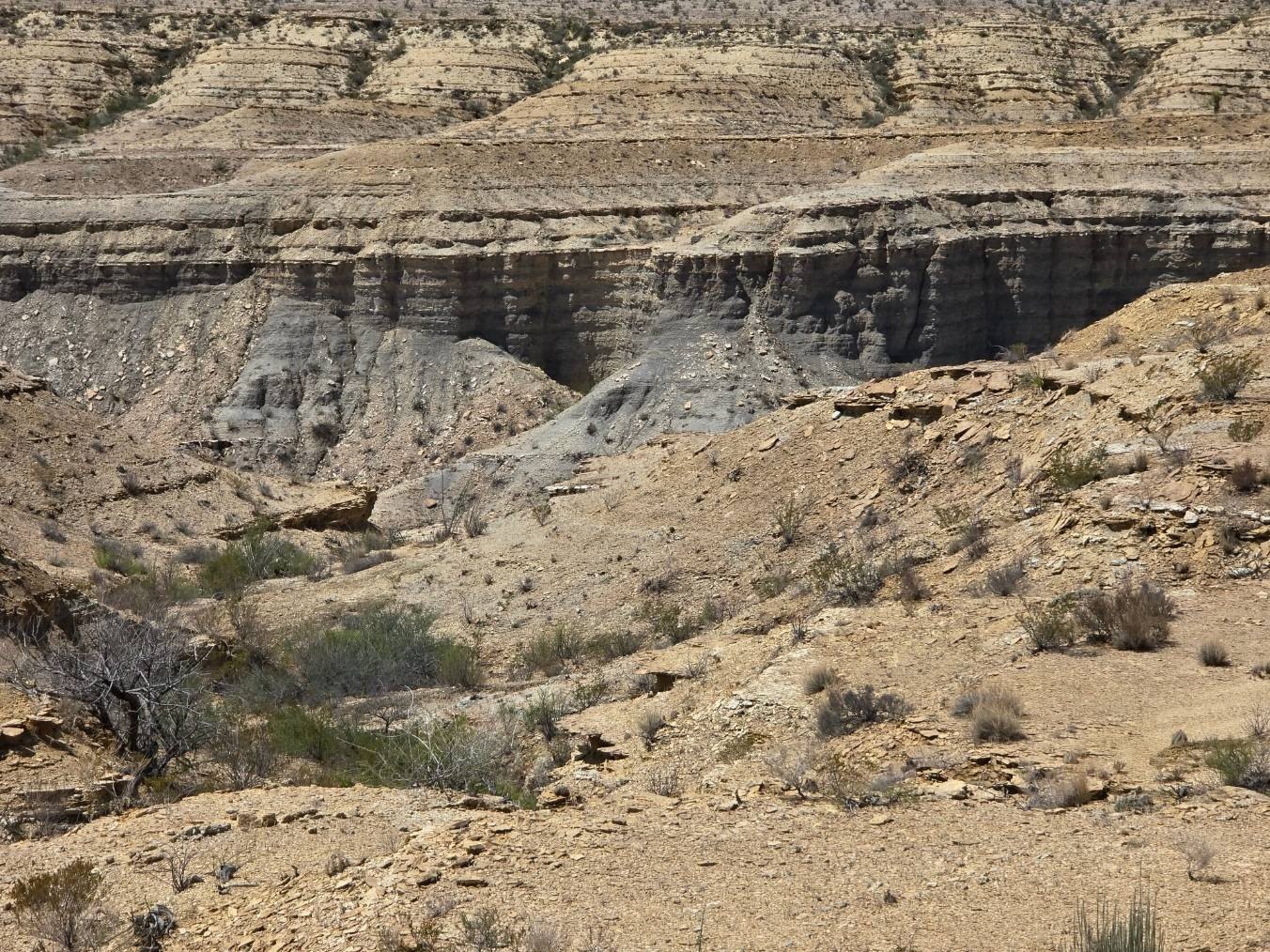 Vacant Land in Terlingua Creek