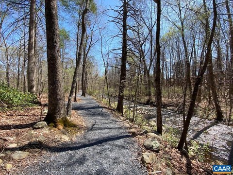 Wooded Waterfront Parcel with Creek Border