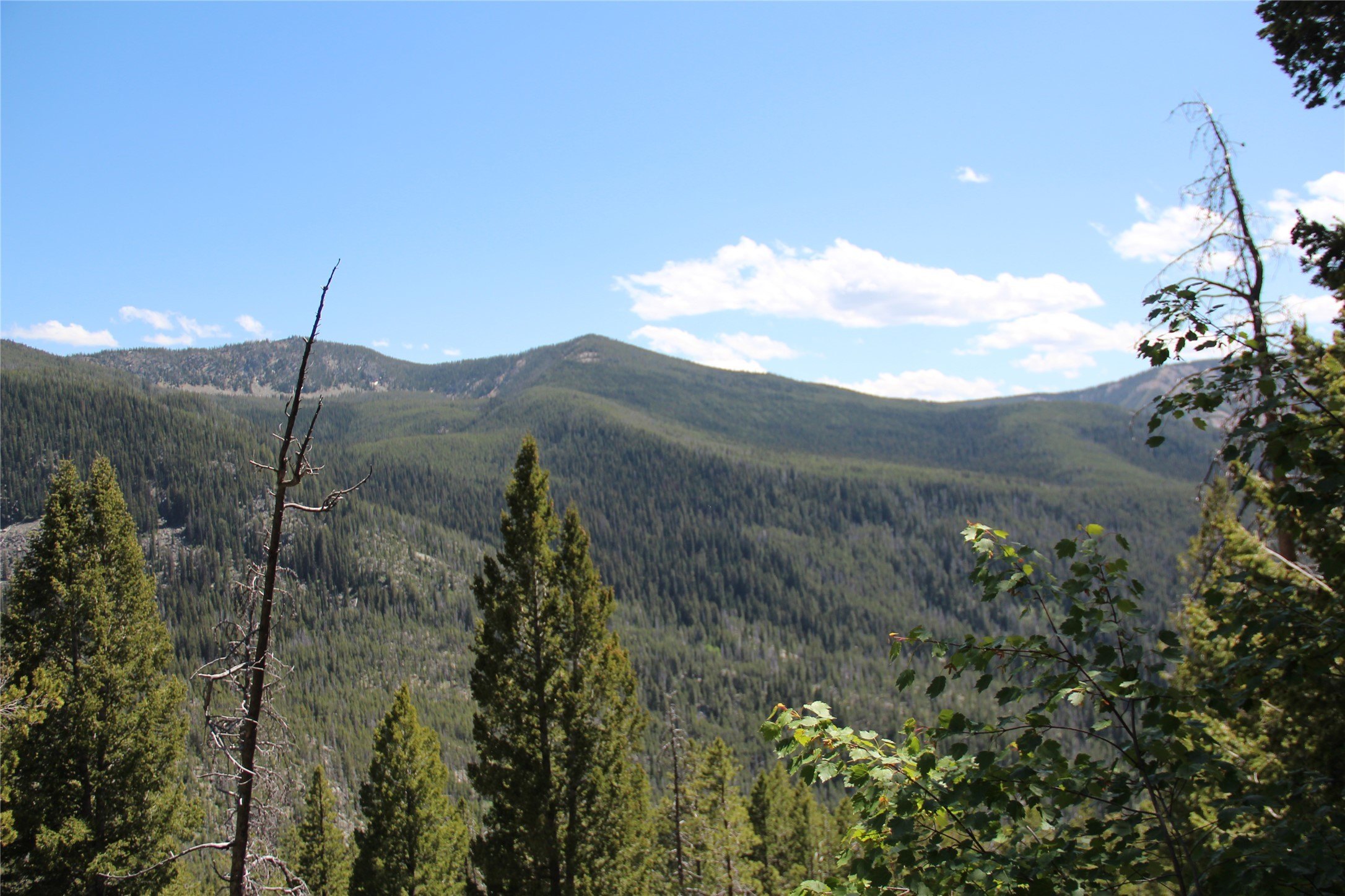 Montana Wilderness Mining Claims Land