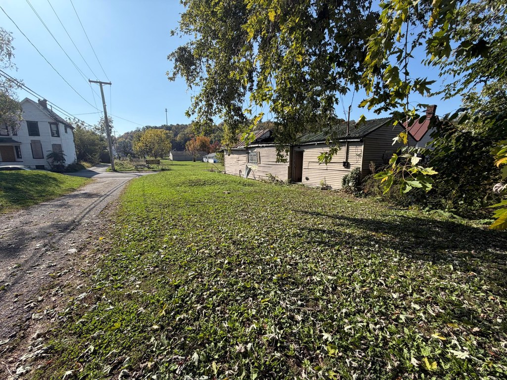 Picture 7