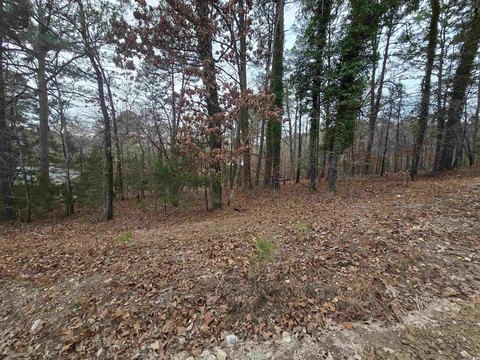 Undeveloped Land Near Lake Hamilton