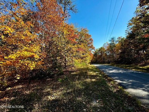 Crawford, TN Land For Sale