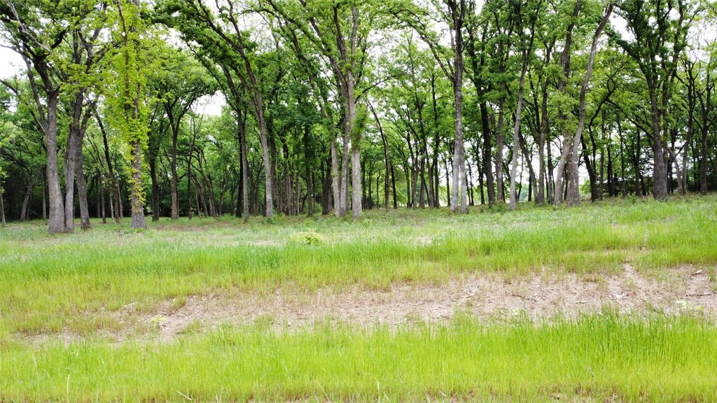 Picture 12