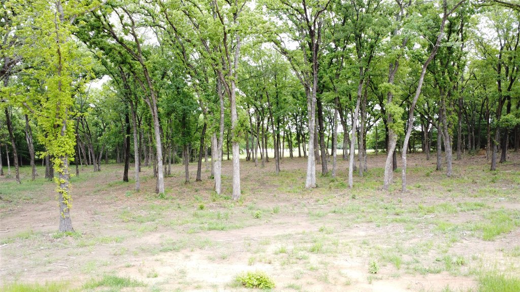 Picture 17