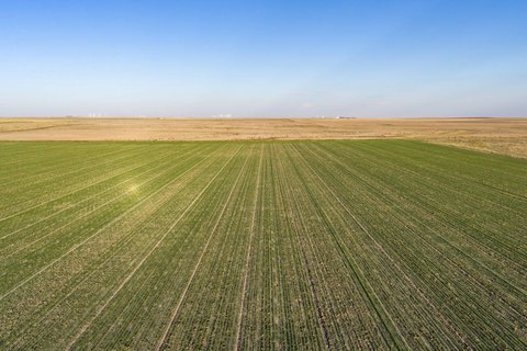 Cropland with Class II and III Soils