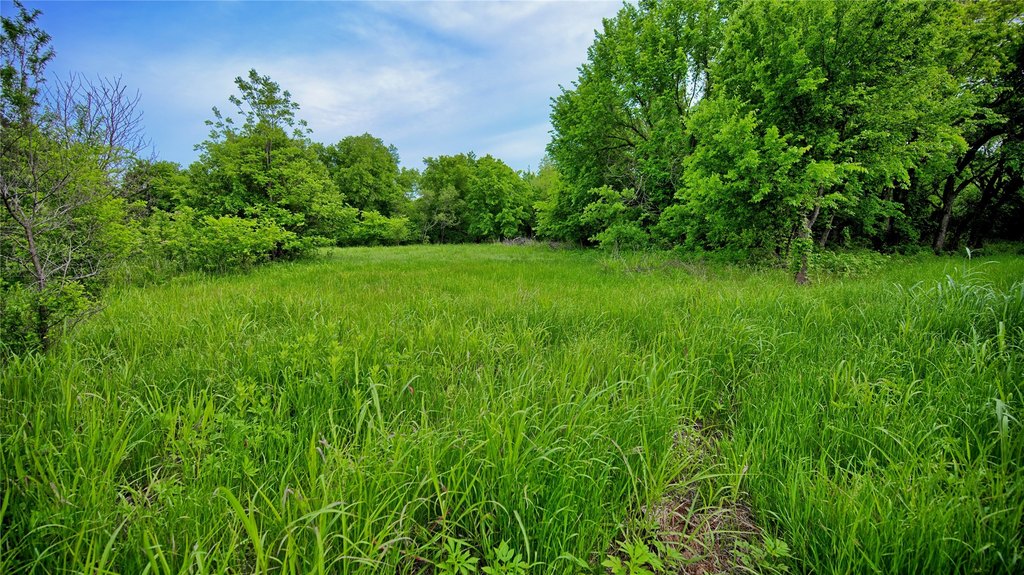 Picture 17