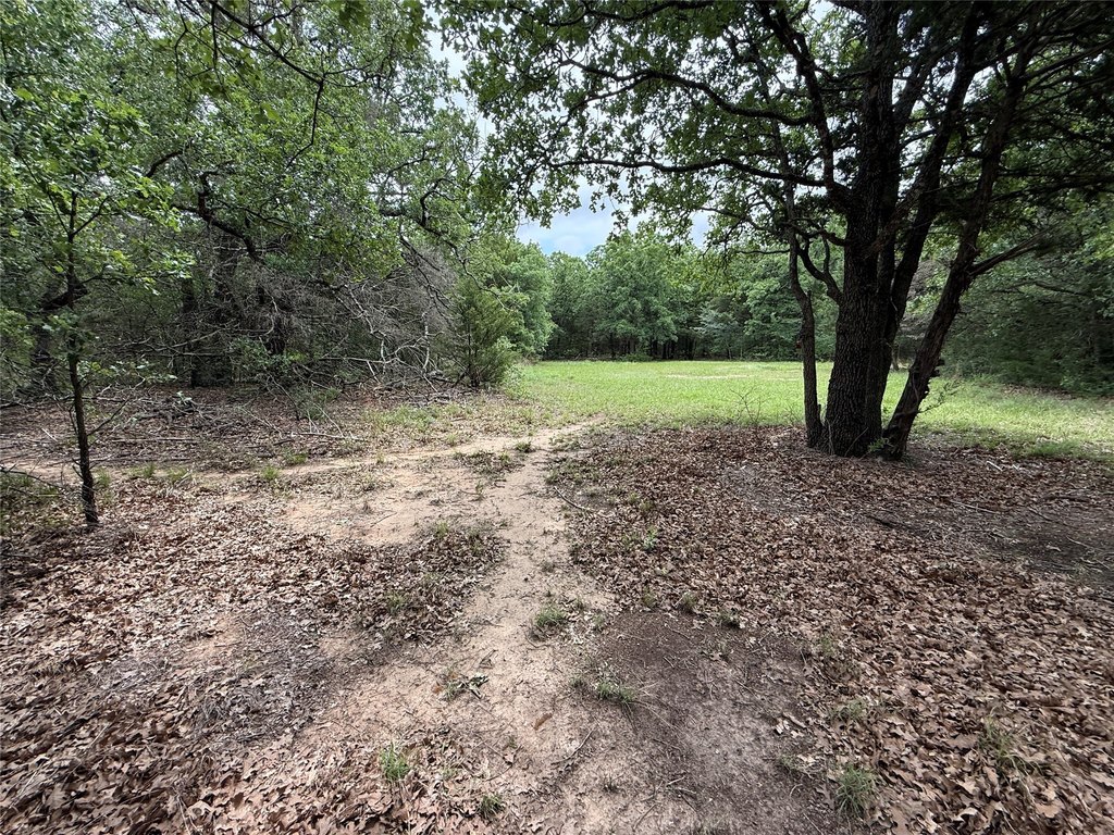Picture 27