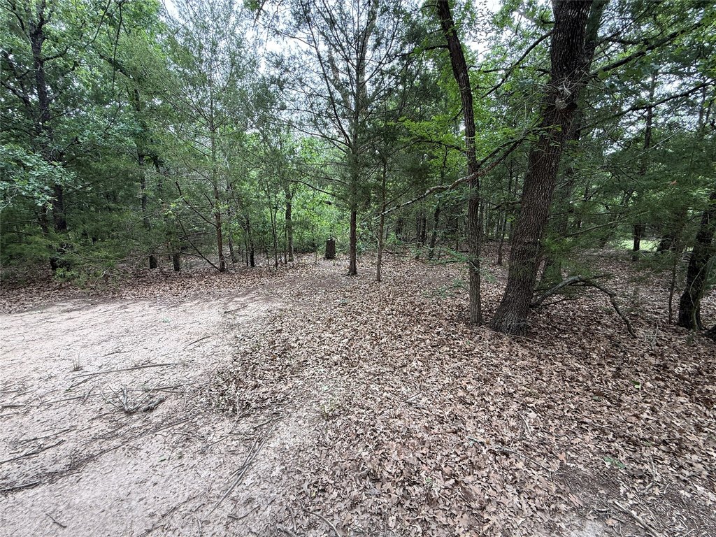 Picture 19