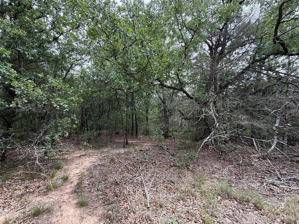 Picture 28