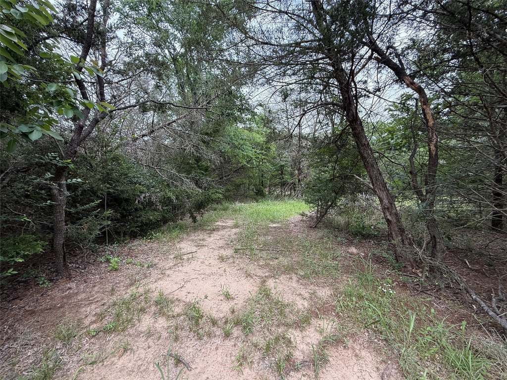 Picture 15