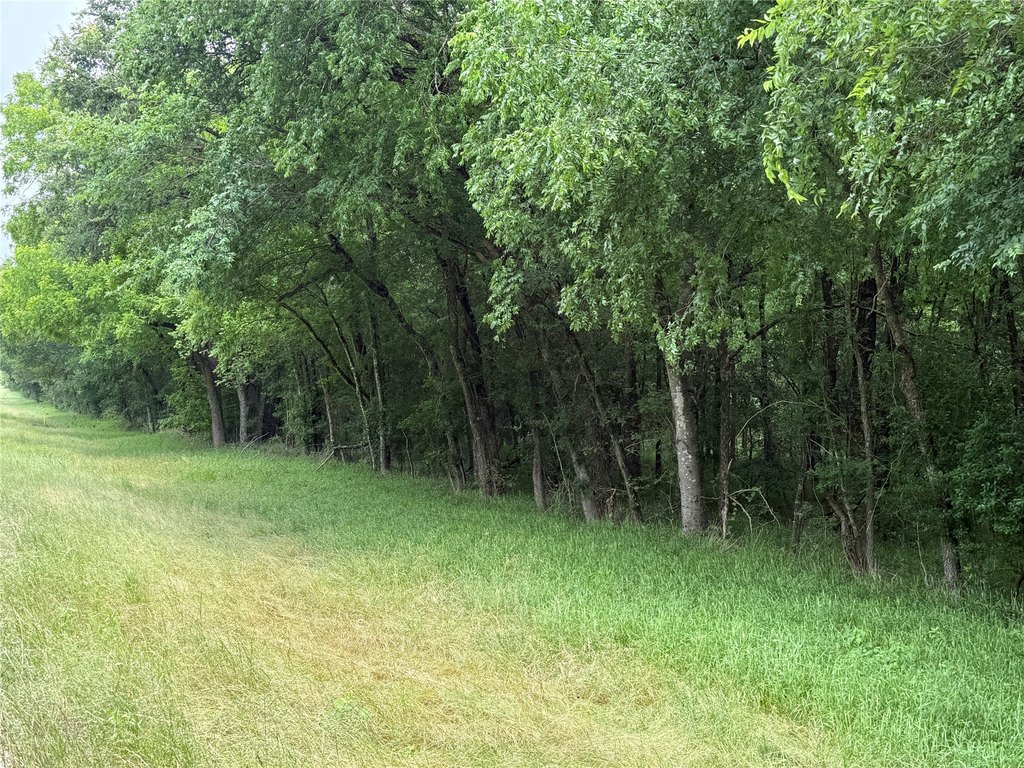 Picture 38