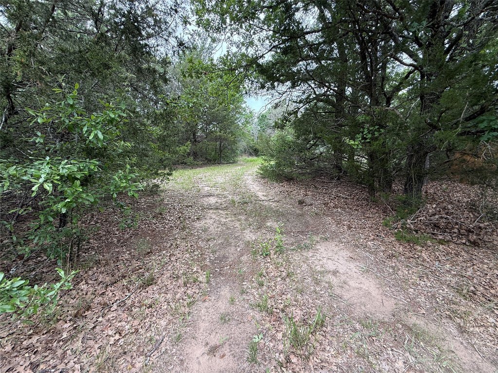Picture 18