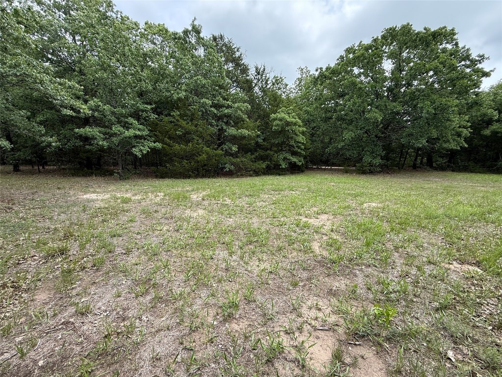 Picture 12