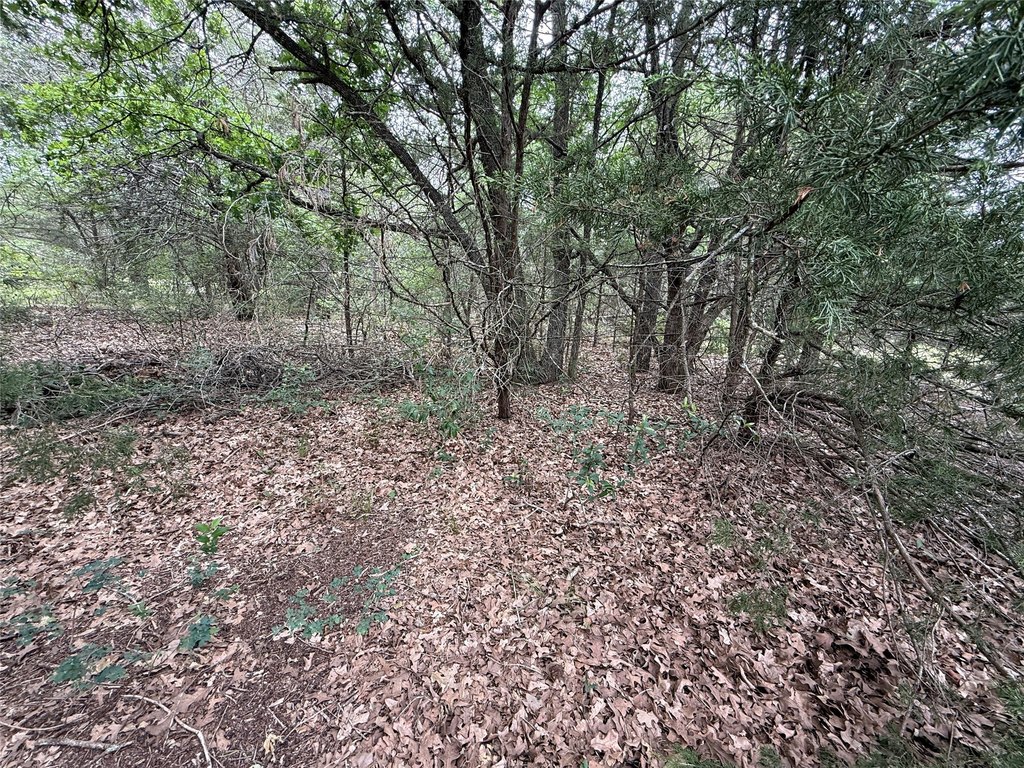Picture 22