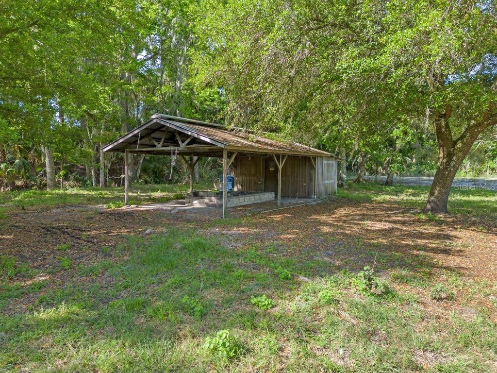 Picture 14