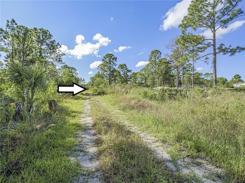 Land, Fellsmere, FL
