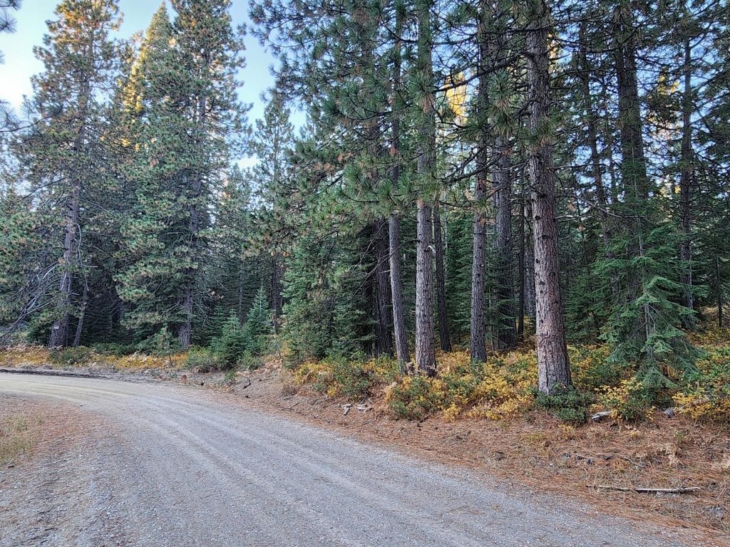 Picture 15