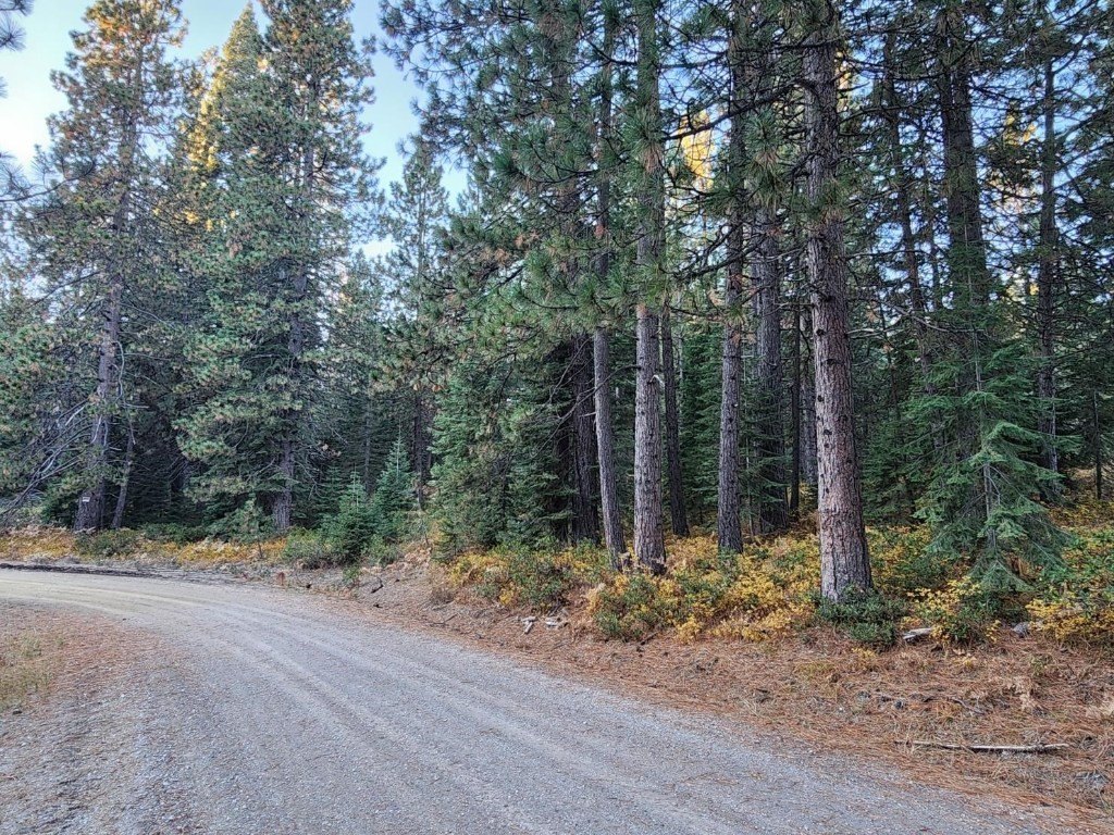 Picture 15