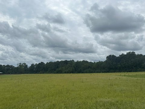 Residential Land in Dothan, Alabama