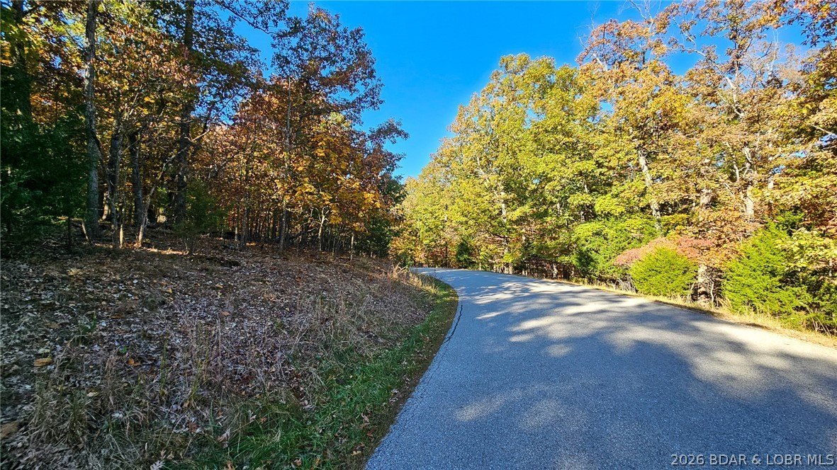 Wooded Lot in Porto Cima