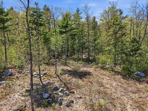 Wilton, NH View Lot