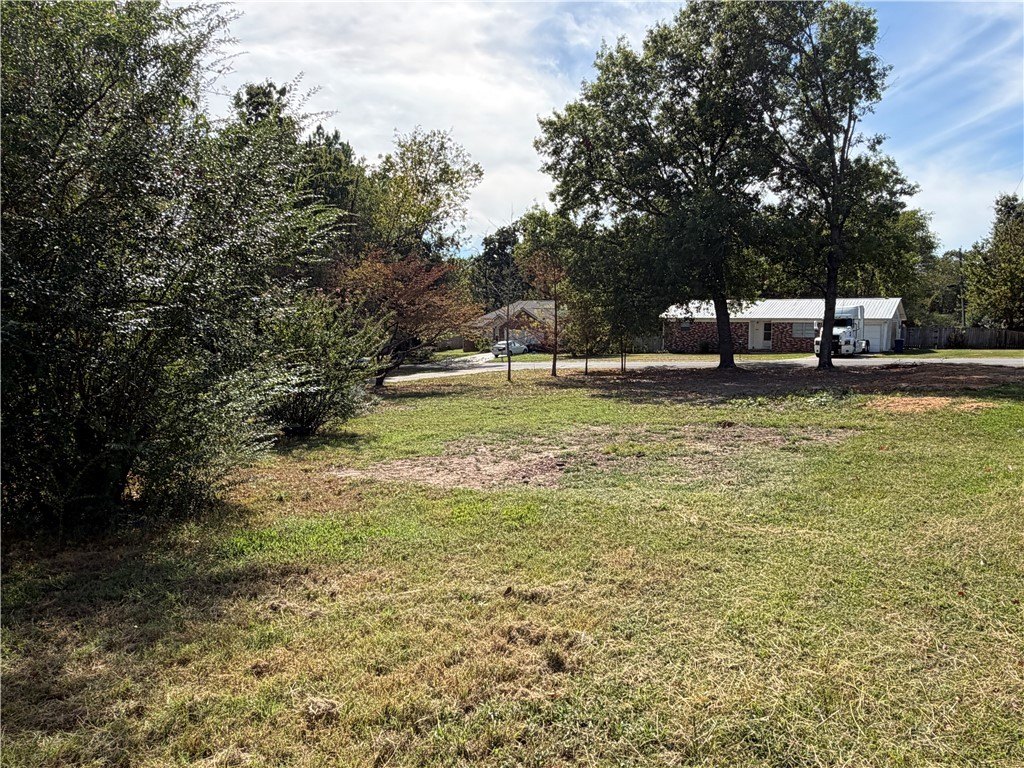 Picture 8