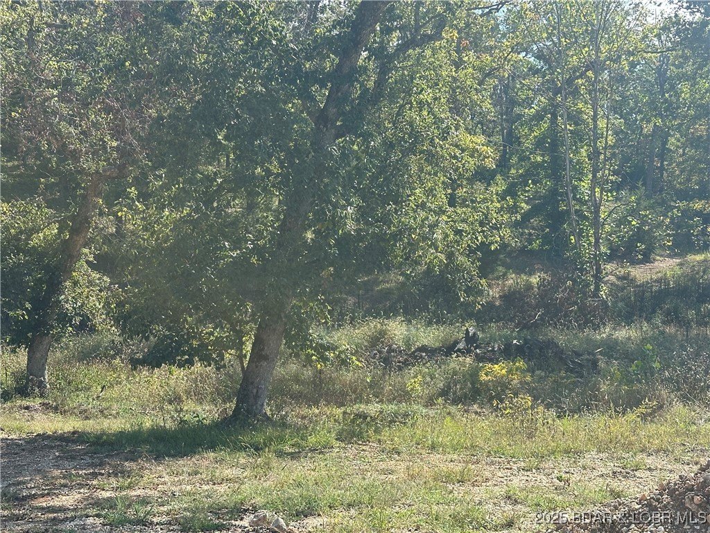 Cleared Lot in Woodhaven Estates