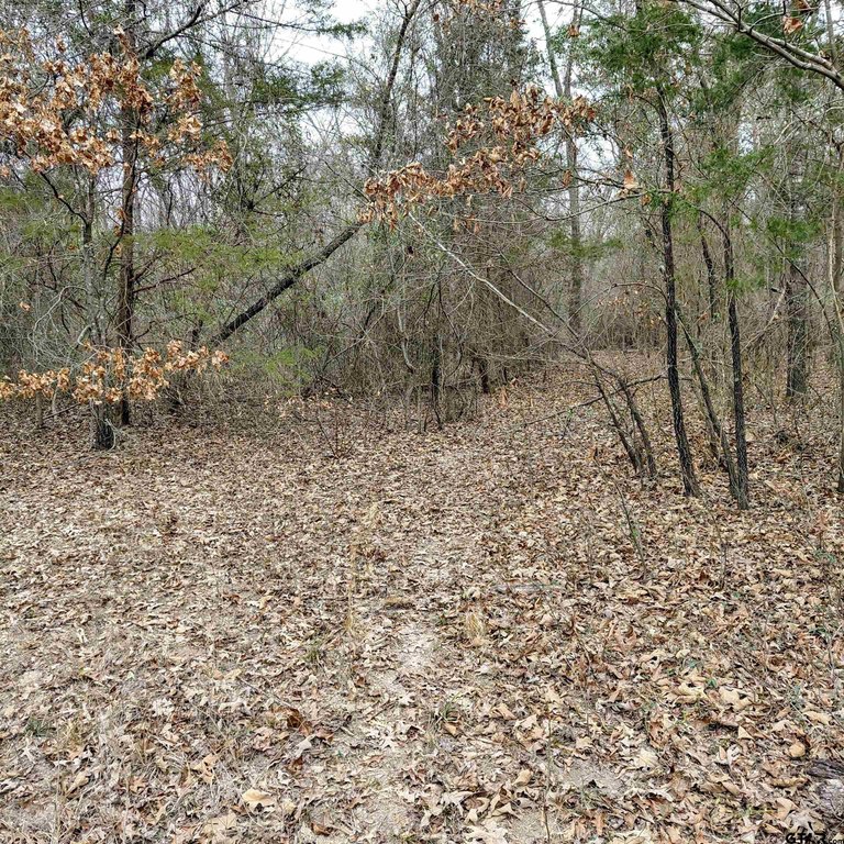 Picture 7
