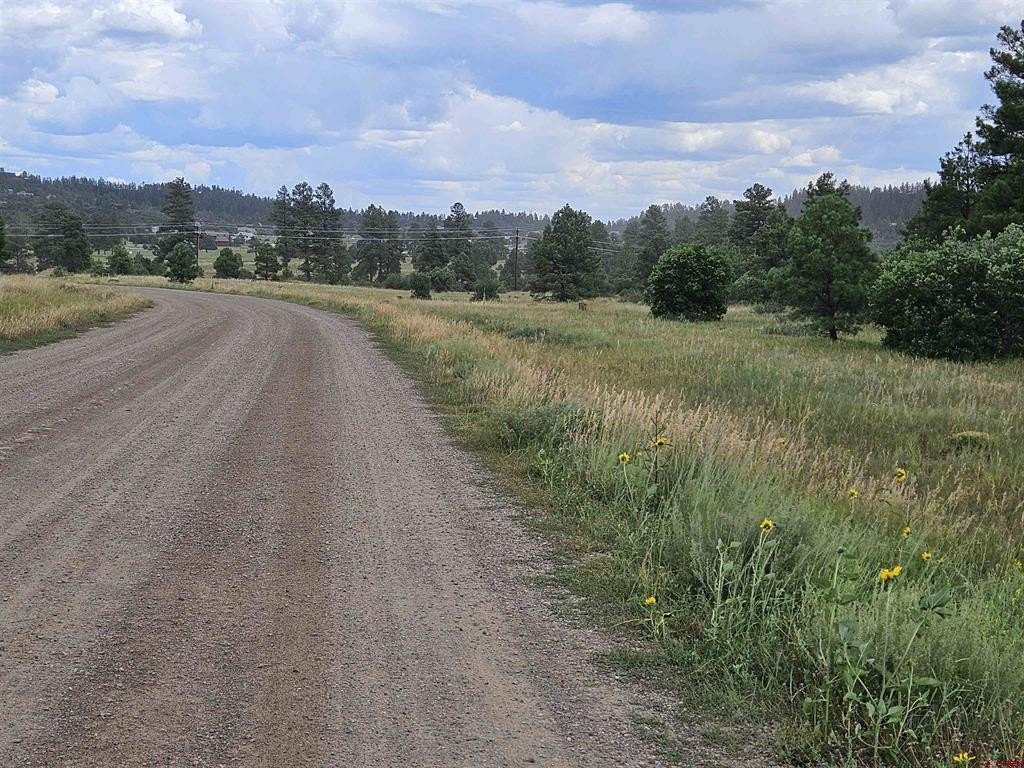 Picture 25