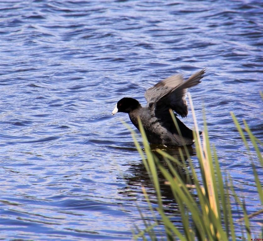 Picture 36