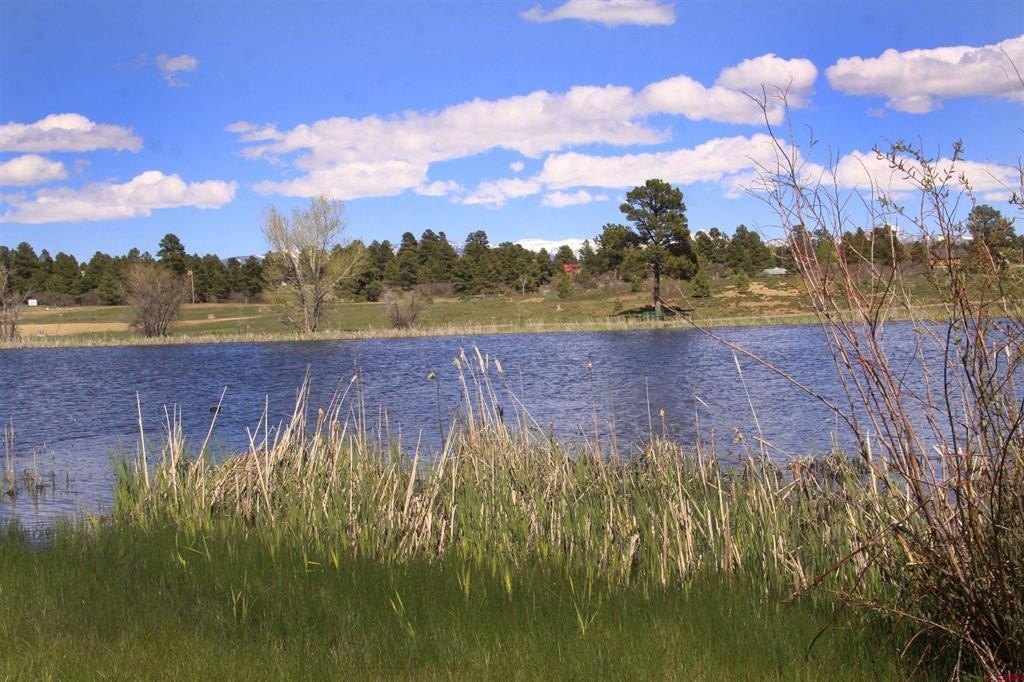 Picture 30