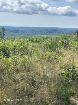 LAND - Spring City, TN