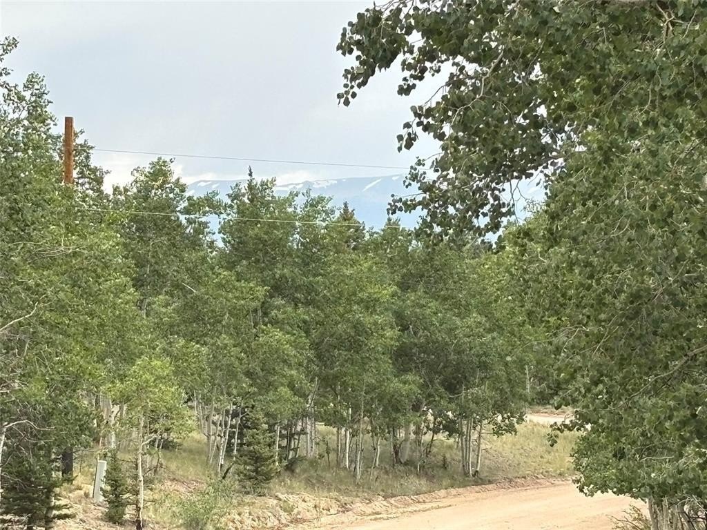 Picture 16