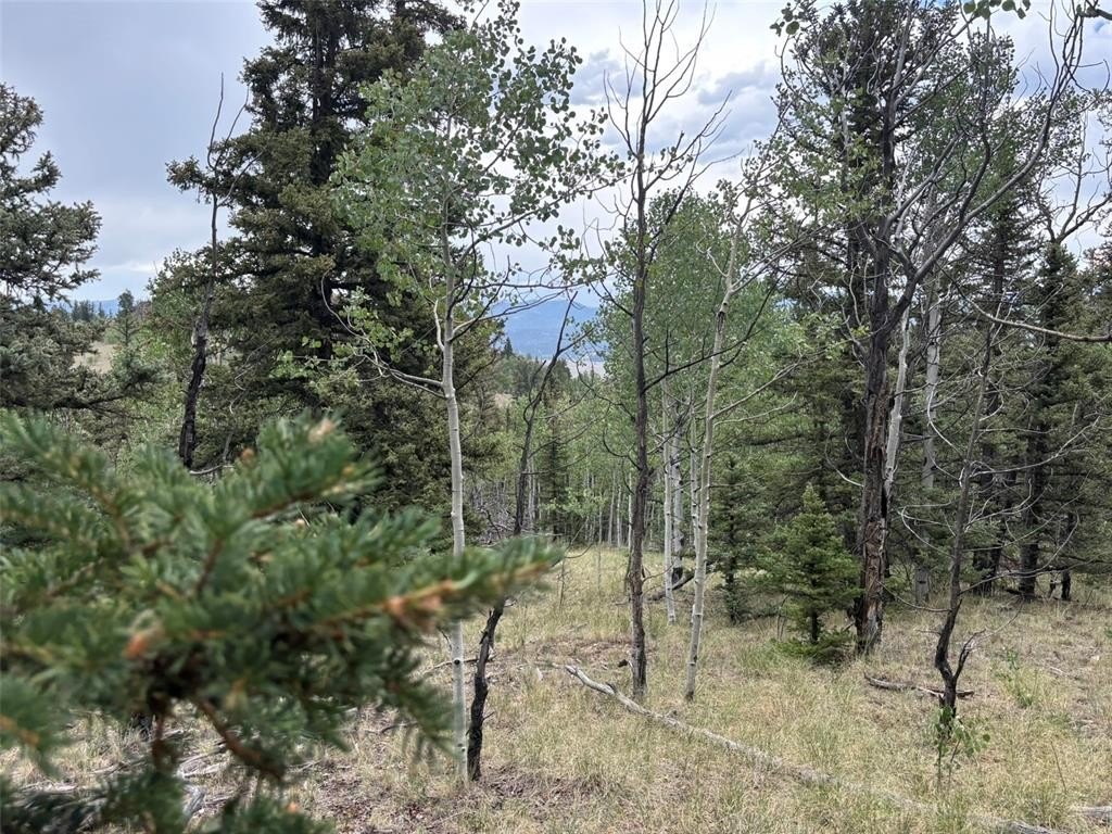 Mountain Land with Fishing Rights