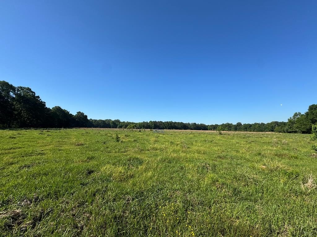 Poplarville Land For Sale