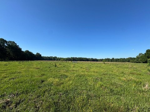 Poplarville Land For Sale