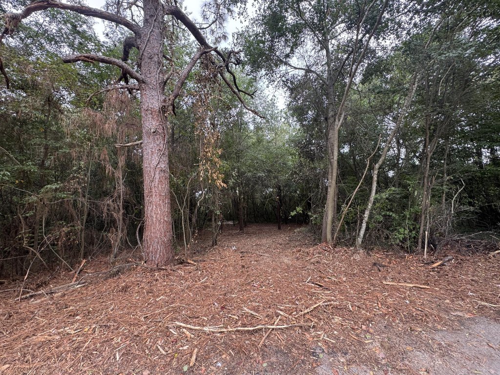 Picture 11