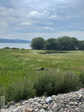 Waterfront Land with Lake Frontage