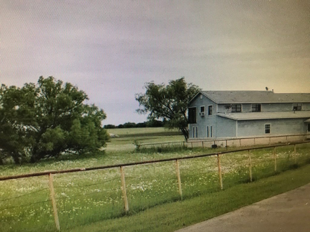 Picture 8