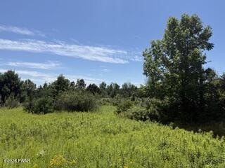 Land, Honesdale, PA