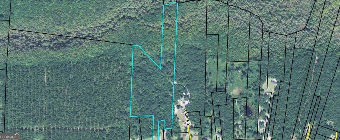 Riceboro, GA Development Opportunity