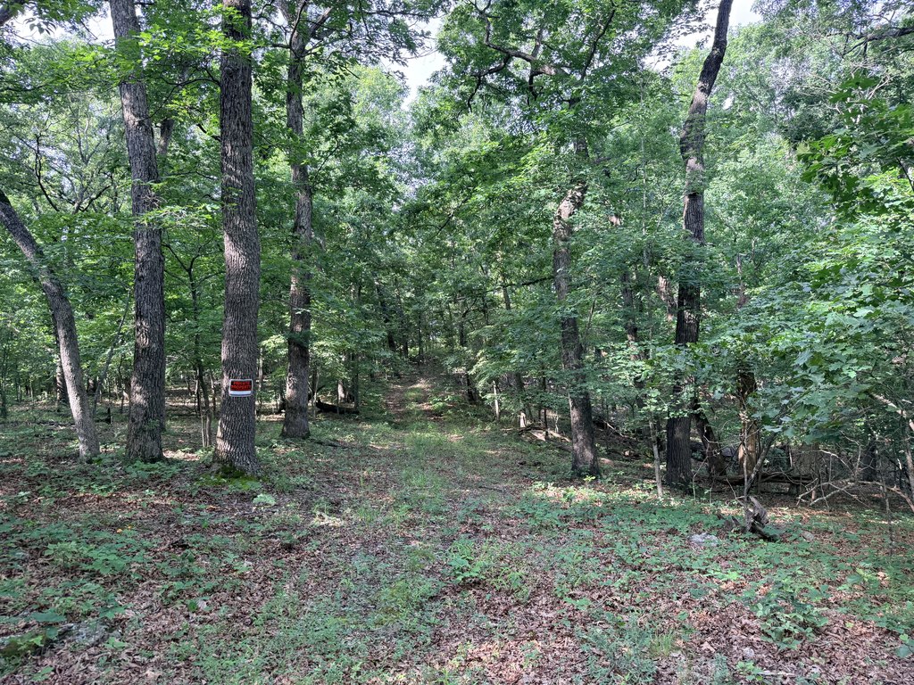 Picture 14