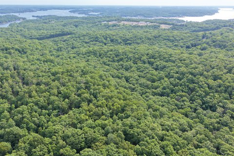 Vacant Wooded Land Tract