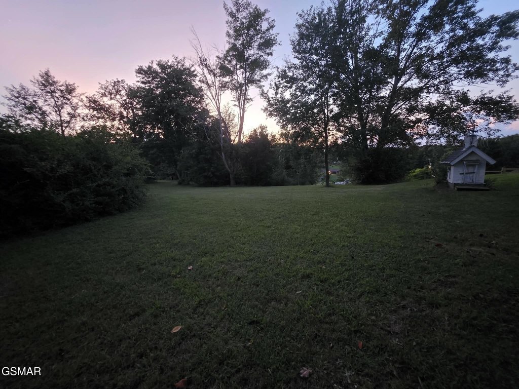 Picture 7